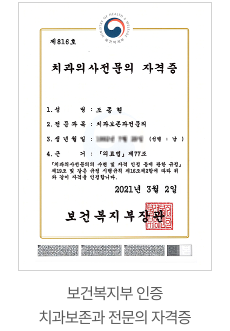 전문이력