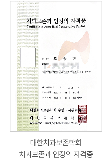 전문이력