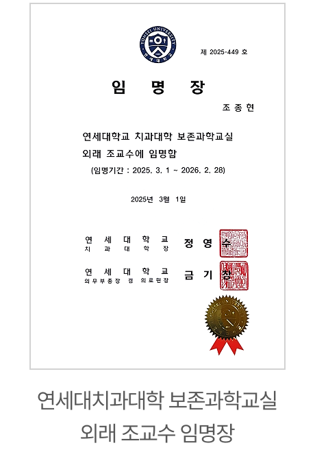 전문이력