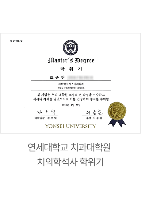 전문이력