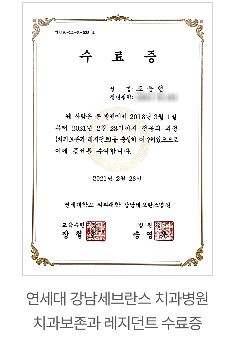 전문이력