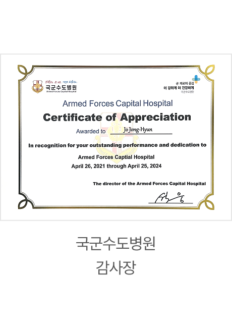 전문이력