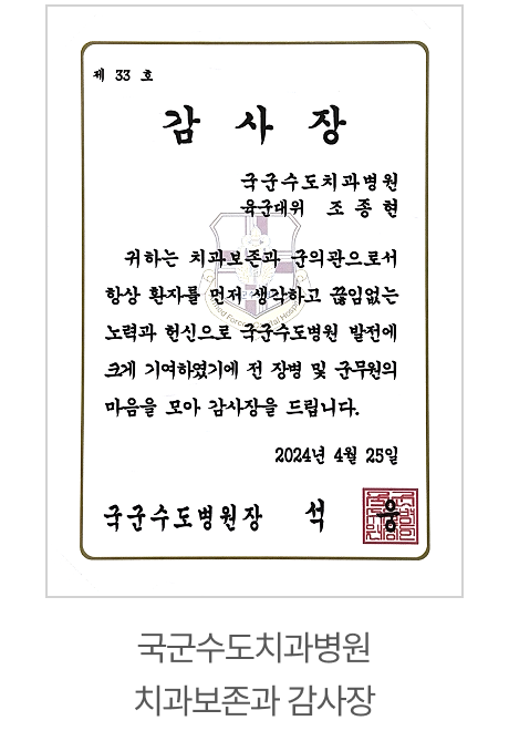 전문이력